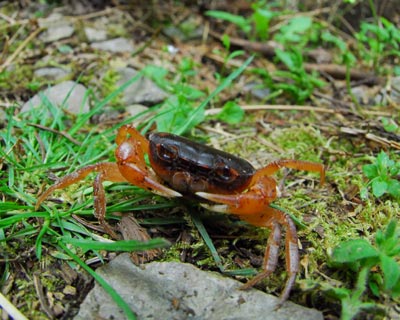e0035757_20401879.jpg