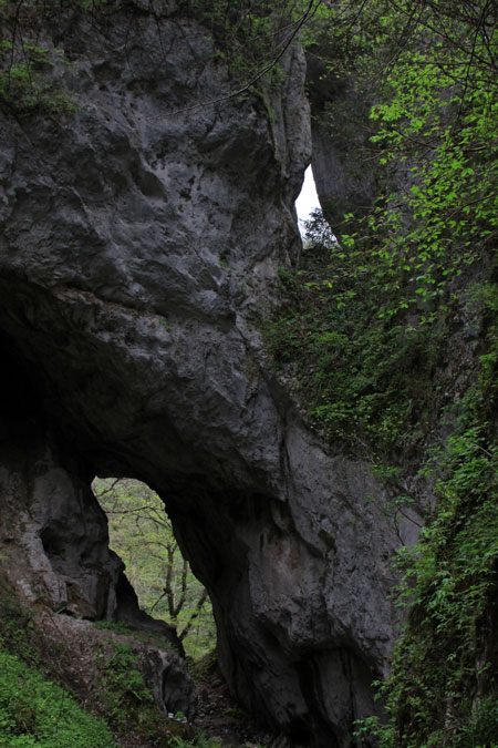 f0147858_16264366.jpg