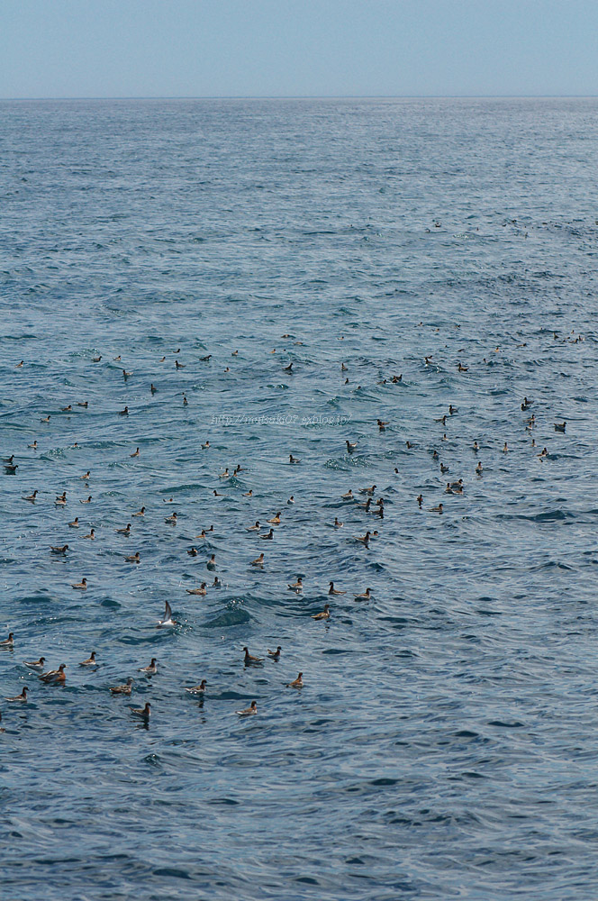 f0145362_20224072.jpg