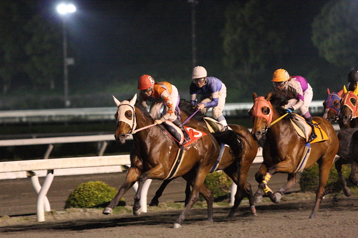 2010年5月9日（日） 高知競馬 10R 一発逆転 ファイナルレース B-4 記者選抜_a0077663_17471315.jpg