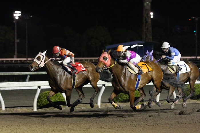 2010年5月9日（日） 高知競馬 10R 一発逆転 ファイナルレース B-4 記者選抜_a0077663_17474489.jpg