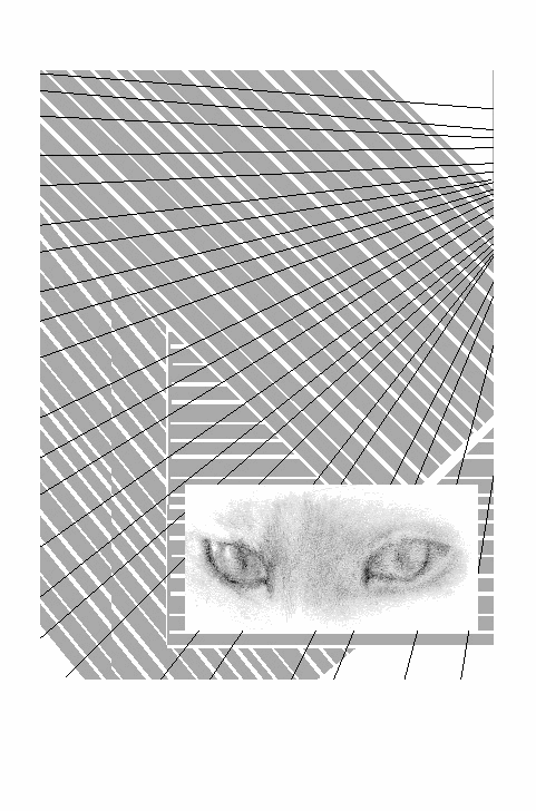 a0134863_17204054.gif