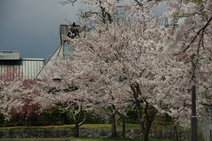 5月の連休旅行_f0237764_2135250.jpg