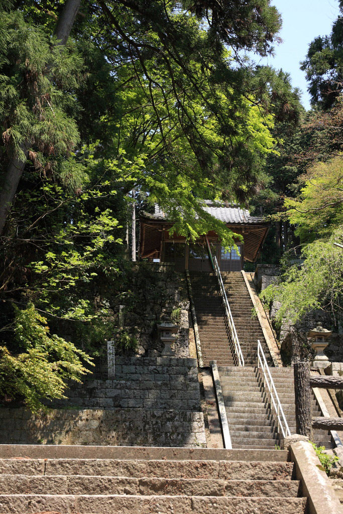 　　伊吹山麓の湧水_f0129465_5334388.jpg