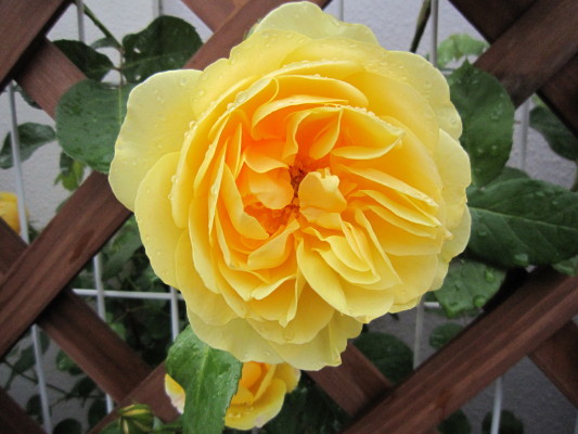 c0202870_838575.jpg
