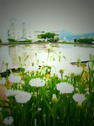 楽しい毎日♬_e0158970_8141626.jpg