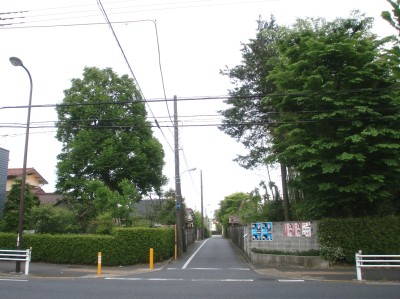 c0112172_112464.jpg