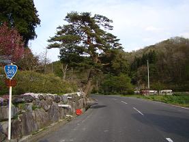 f0125073_8261372.jpg