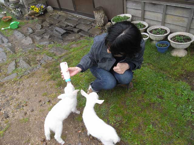 2010.05.11_c0197974_525930.jpg