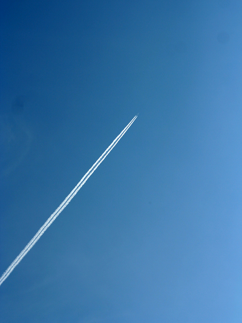 e0184077_148213.jpg