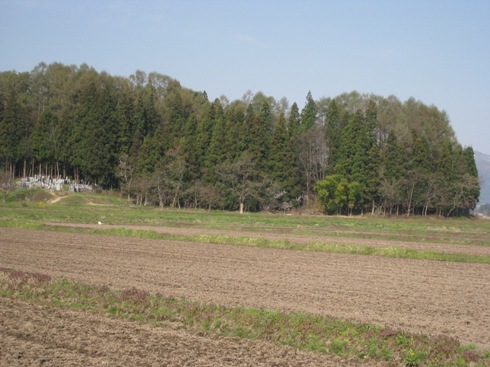 a0087378_5365992.jpg
