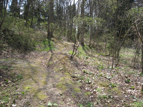 a0087378_5392495.jpg