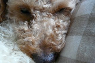 2010年5月12日 日付が変わってしまった_b0098584_0394058.jpg