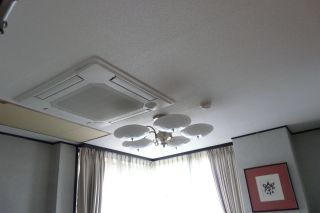 今日は脱出_b0098584_823621.jpg