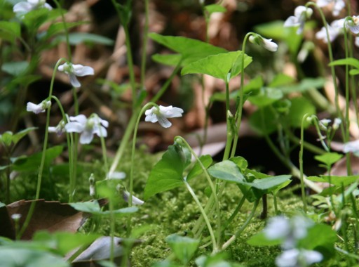 c0144185_19214141.jpg