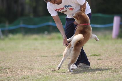 5月５日のトレーニングセンター_c0123890_21172032.jpg