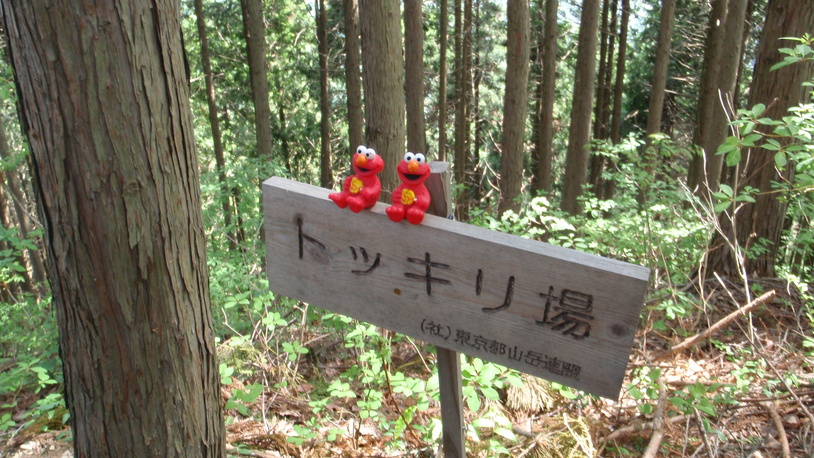 d0034291_1031352.jpg