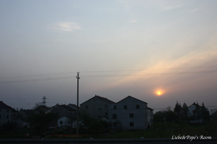 f0001895_1581673.jpg