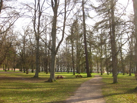 c0180096_16323621.jpg