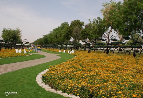 f0053297_8542456.jpg