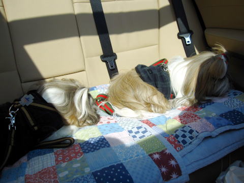 c0090198_4184443.jpg