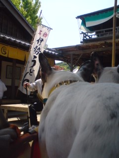 b0085408_2542165.jpg