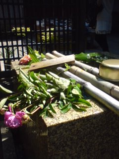 b0085408_394485.jpg