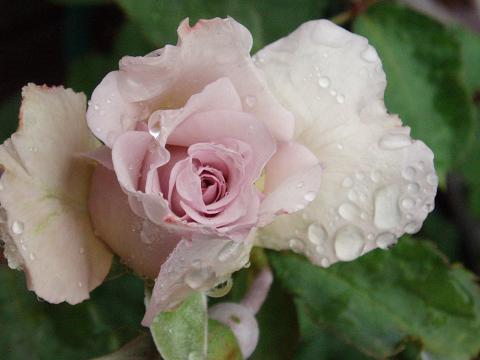 c0147909_0563426.jpg