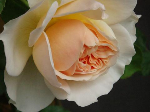 c0147909_0574316.jpg