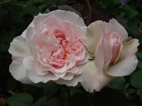 c0147909_0581251.jpg