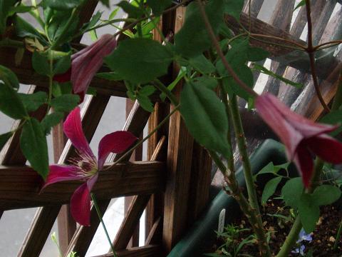c0147909_0591598.jpg
