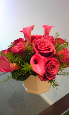 c0180209_23484316.jpg