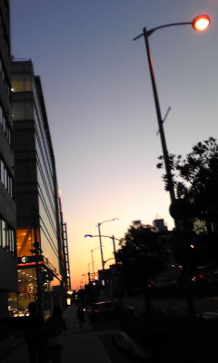 c0180209_23494195.jpg