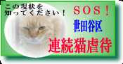 【世田谷連続猫虐待事件】リンクとご支援のお願い_e0144012_3523466.jpg