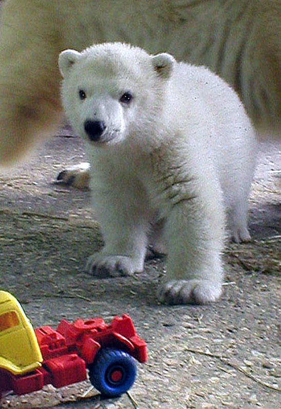 a0151913_2042191.jpg