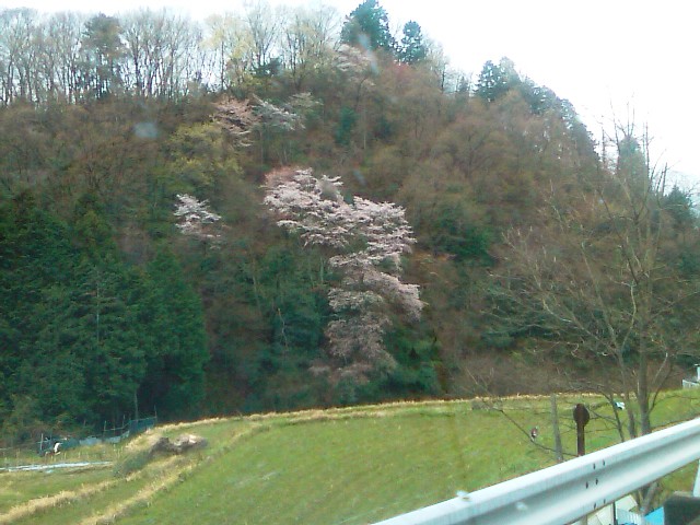 a0030715_8145227.jpg