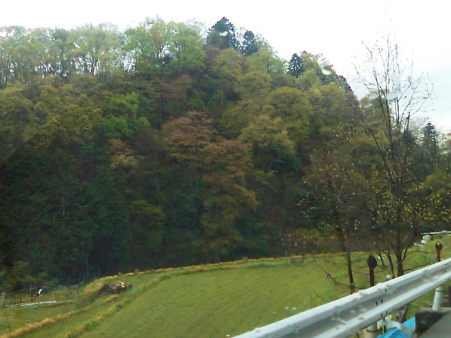 a0030715_8171779.jpg