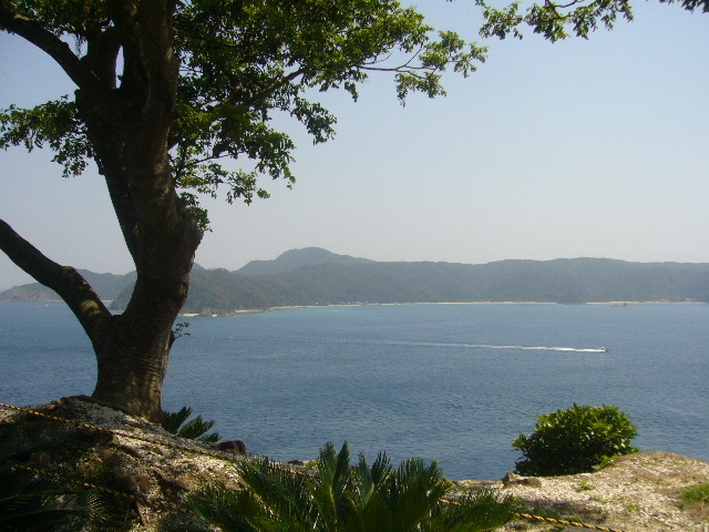 a0128916_011492.jpg