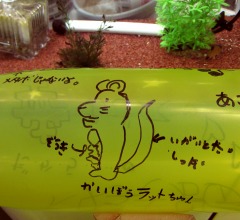 c0166720_18582910.jpg