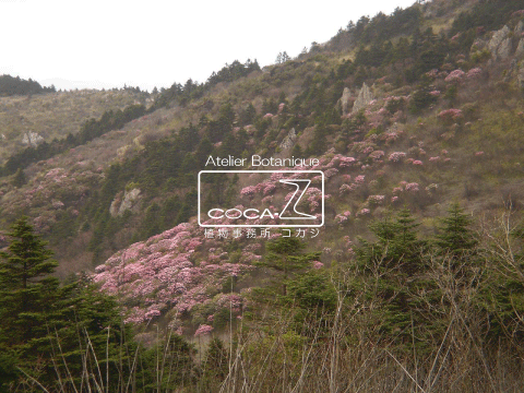 b0160123_10455428.gif