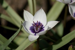 f0170524_12425567.jpg