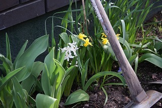 f0170524_12442479.jpg