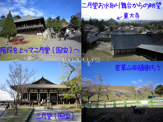 吉野の桜を見に～奈良旅行記　その３_a0099627_2223918.jpg