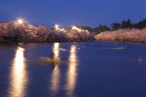 弘前公園の桜　その２０_e0168232_20513795.jpg