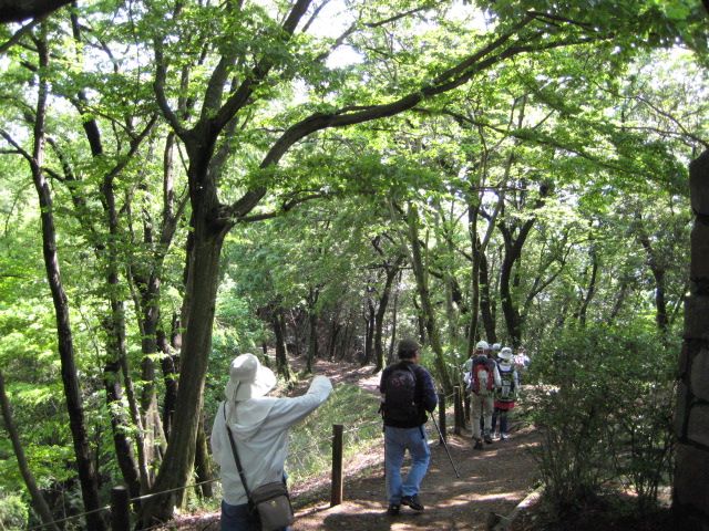 f0172342_9314147.jpg