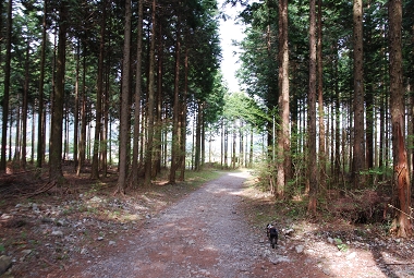 e0126046_23504037.jpg