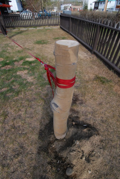 f0145348_15242234.jpg