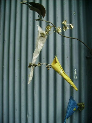a0068350_838397.jpg