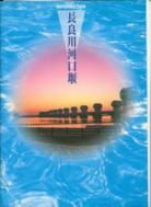 「新しい河川環境の創出」とは？－長良川河口堰パンフから－_f0197754_231712.jpg