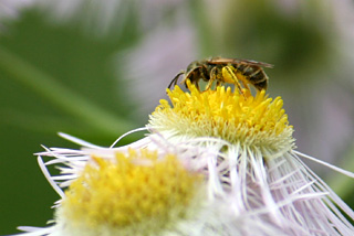 c0016056_2040391.jpg